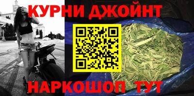 дмт Бийск