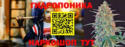 крисы Беслан
