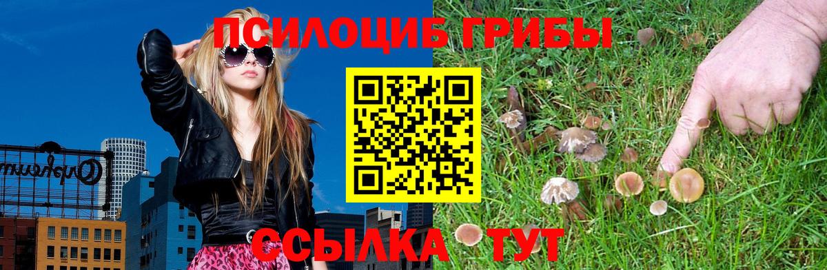 Галлюциногенные грибы Magic Shrooms  Псилоцибиновые грибы мухоморы  Кировск  наркотики  Вход с VPN 